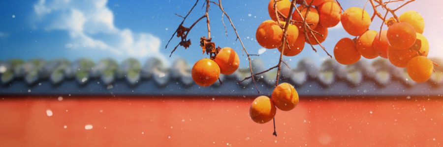 霜降 | 寒霜冬將至，補陽須及時