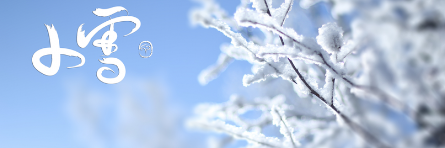 小雪丨雪落天地寒，愿君多珍重