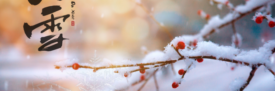 大雪丨 養(yǎng)陰護(hù)陽，君心不忘