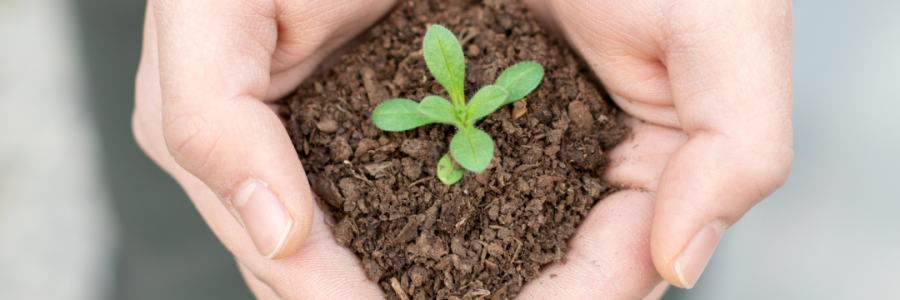 火運(yùn)不及的癸卯年，亟需補(bǔ)火護(hù)陽！