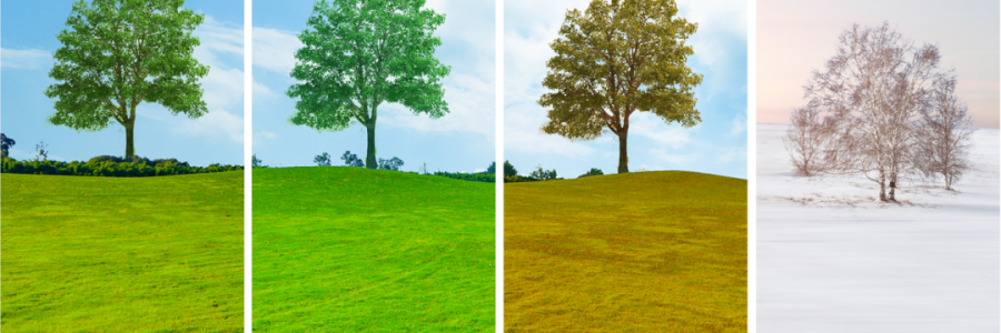 讀懂五臟五行與四季的關(guān)系，養(yǎng)生才算入門……