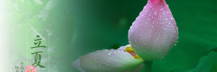 立夏 | 滿園芳立，夏色初染