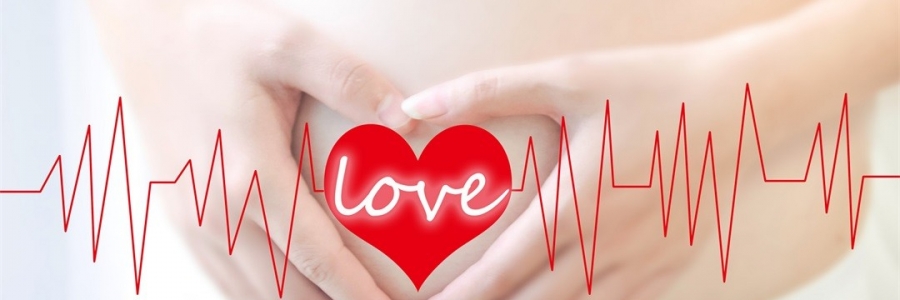 更適合“中國母親體質”的禮物？讓她被艾每一天！