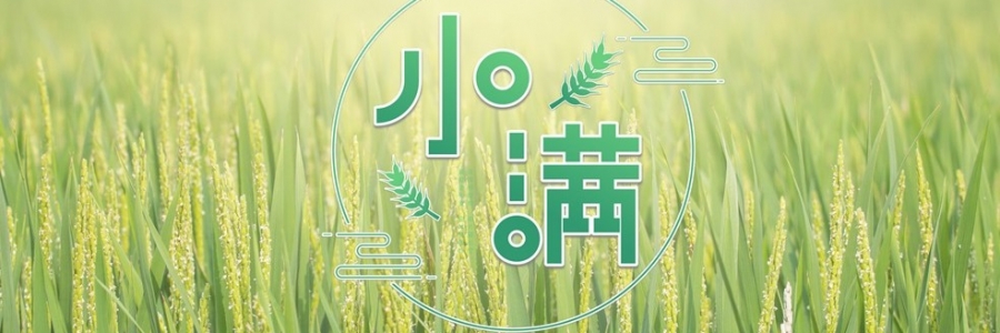 小滿(mǎn) | 萬(wàn)物漸豐，小得盈滿(mǎn)