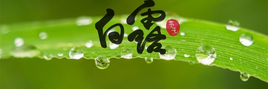 白露 | 天涼身勿露，灸火暖秋色