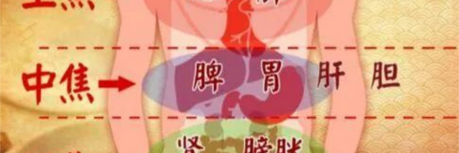 突破600億播放量的《羅剎海市》，竟然還暗藏中醫(yī)奧秘？