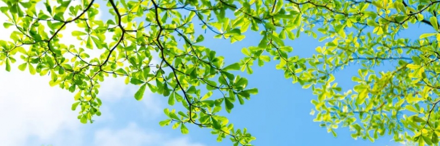 警告：夏天千萬(wàn)不能做的5件事！快來(lái)看看~