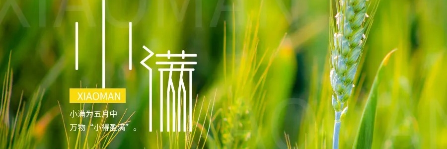 小滿丨小得盈滿，平安入夏