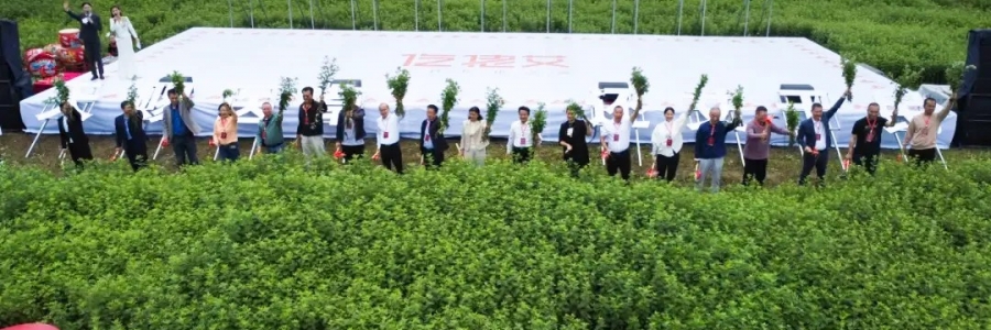 大事記丨“千年弦歌·仡佬醫(yī)藥”務川仡佬艾草文化節(jié)圓滿成功