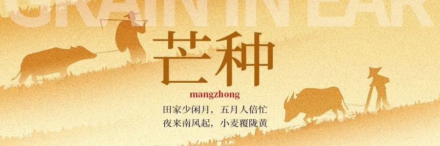 芒種丨“芒”有所獲，“種”有所得