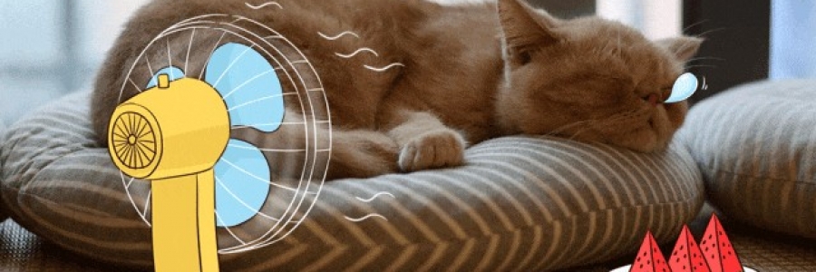 越睡越困的夏天，一個穴位趕走疲倦……