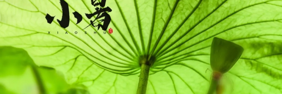 小暑丨避暑養(yǎng)心，準備入伏