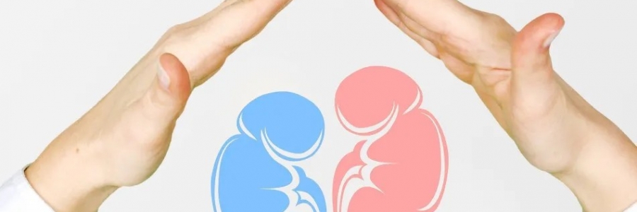 兩個人體的“長壽穴”，每天揉一揉，健康又長壽