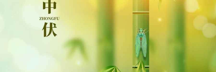 三伏灸丨破三冰，泄三濁，清五毒，祛六淫！