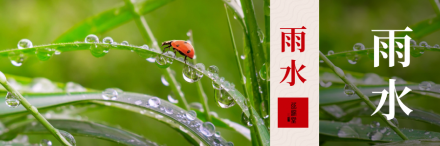 雨水 | 寒濕風(fēng)邪入，艾灸來相助