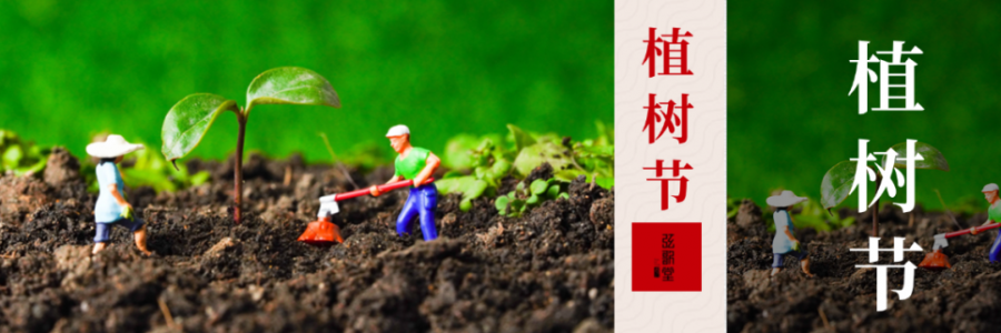 外植綠樹，內(nèi)養(yǎng)肝木，別忘給身體也“種下”護(hù)肝種子！