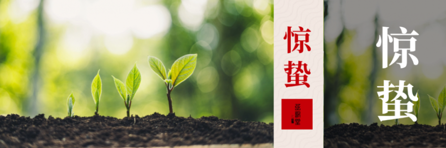 驚蟄 | 驚起春潮，蟄動(dòng)萬物