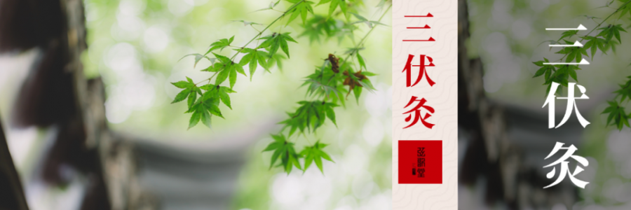中伏 | 伏藏陽，冬不慌！三伏過半，抓緊養(yǎng)陽黃金期
