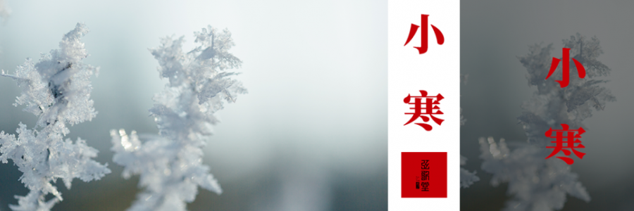 小寒 | 冰封至，寒極陽生